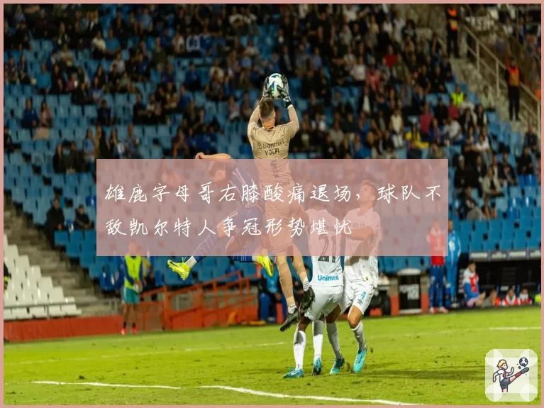 雄鹿字母哥右膝酸痛退场，球队不敌凯尔特人争冠形势堪忧