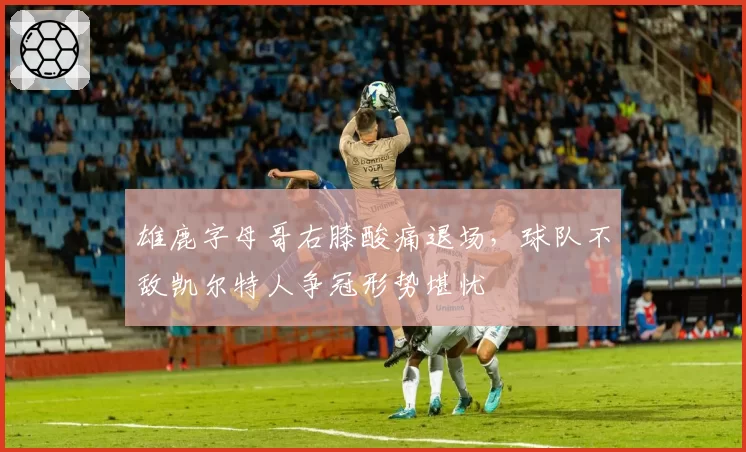 雄鹿字母哥右膝酸痛退场，球队不敌凯尔特人争冠形势堪忧